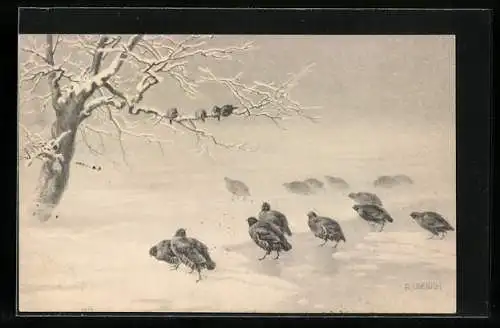 Künstler-AK R. Ulreich: Wachteln im Schnee