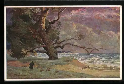 Künstler-AK Robert Kämmerer: Schäfer am Strand unter altem Baum