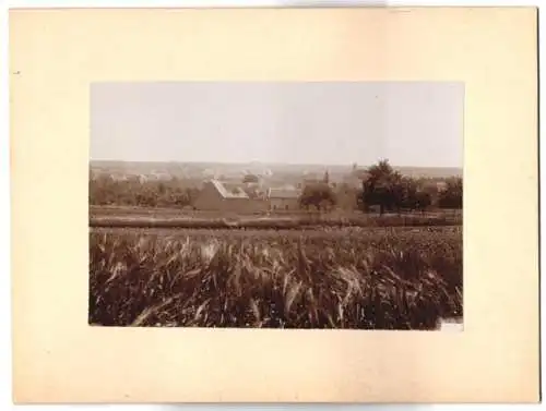 Fotografie unbekannter Fotograf, Ansicht Mauchenheim, Blick vom Weizenfeld nach dem Ort