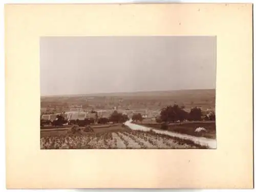 Fotografie unbekannter Fotograf, Ansicht Mauchenheim, Blick nach dem Ort mit Kirche