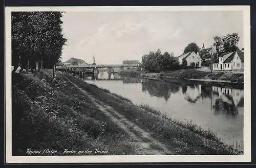 AK Tapiau, Partie an der Deime