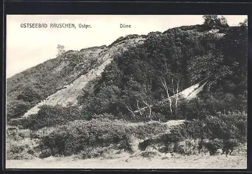 AK Rauschen, Blick auf die Düne