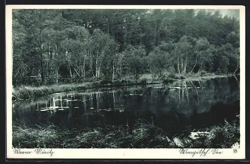 AK Waren /Müritz, Wienpitschsee
