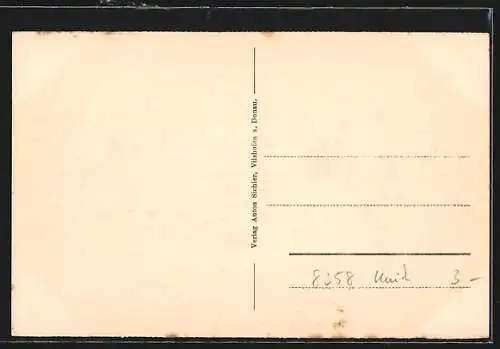 AK Vilshofen, Ortspanorama mit Kirche