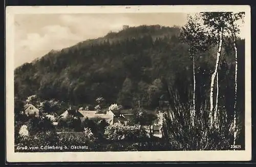 AK Collm b. Oschatz, Ortsansicht gegen Collmberg
