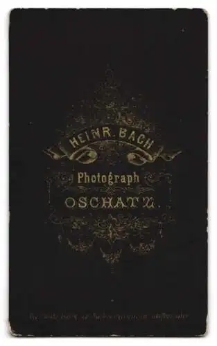 Fotografie Heinr. Bach, Oschatz, Hübsche Dame im Kleid mit Spitzen-Applikationen