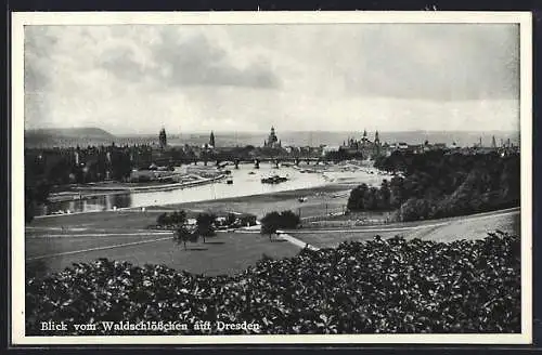 AK Dresden-Neustadt, Blick vom Waldschlösschen auf die Stadt