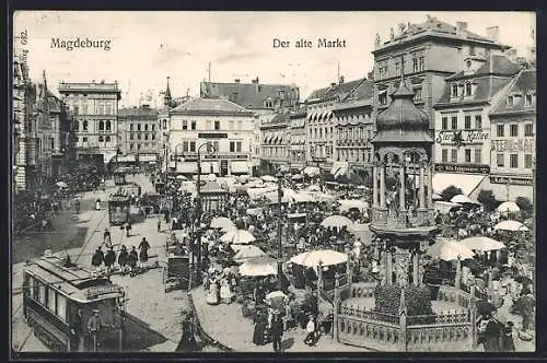 AK Magdeburg, Der alte Markt mit Besuchern und Strassenbahnen