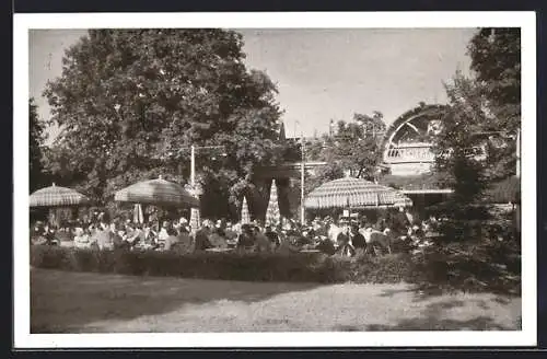 AK Wien, Kaffee-Restaurant Brandl im Schweizergarten, II. Parkteil