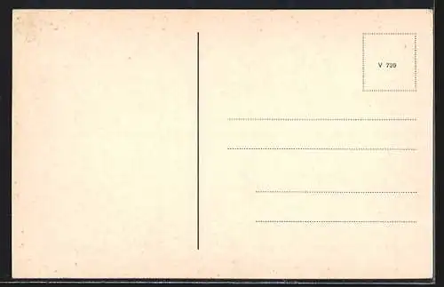 AK Wolfenbüttel, Lessinghaus und Bibliothek