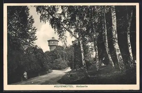 AK Wolfenbüttel, Wallpartie mit Birken