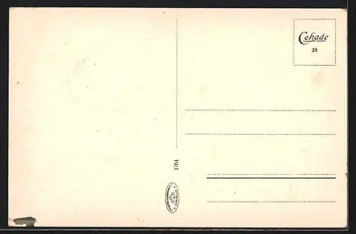 AK Wolfenbüttel, Wallpartie mit Birken