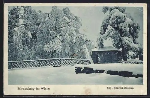AK Schwarzburg, Das Trippsteinhäuschen im Winter