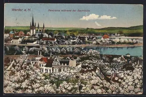AK Werder a. H., Panorama während der Baumblüte