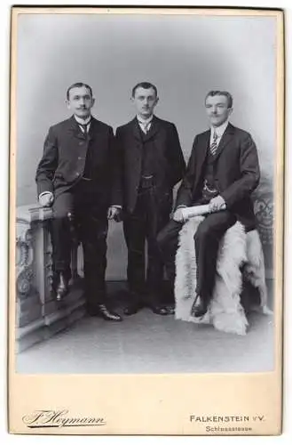 Fotografie F. Heymann, Falkenstein i. V., Schlossstrasse, Drei junge Herren in Dreiteilern mit Krawatte