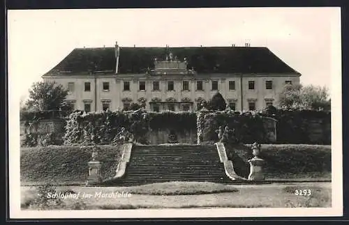 AK Engelhartstetten, Schloss Hof im Marchfelde, Treppenaufgang zum Schloss