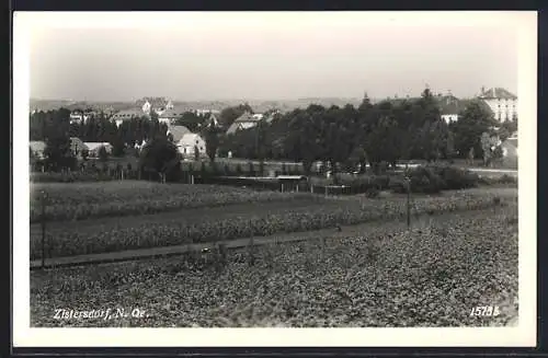 AK Zistersdorf /N. Oe., Ortspartie