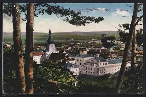 AK Baden bei Wien, Panorama