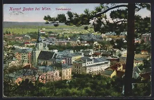 AK Baden bei Wien, Totalansicht