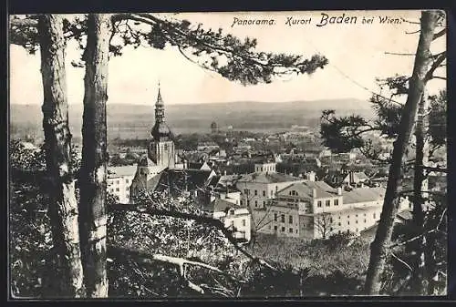 AK Baden bei Wien, Panorama