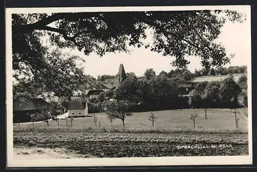 AK Sipbachzell bei Wels, Ortspanorama von einem Feld aus