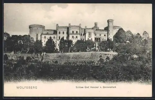 AK Wolfsberg /Kärnten, Schloss Graf Henckel von Donnersmark