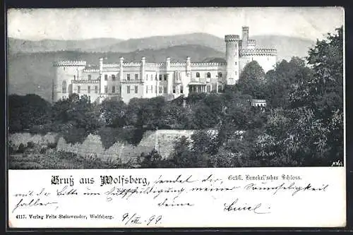 AK Wolfsberg /Kärnten, Gräfl. Henckelsches Schloss mit Bergpanorama