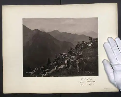 Fotografie Edition Photoglob, Zürich, Ziegen Hirte mit Ziegenruppe im Berner Oberland, 1900
