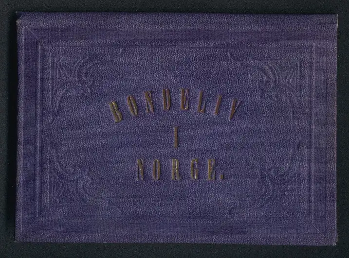 Fotoalbum mit 10 Fotografien Leporello Bondeliv i Norge, Tracht Norwegen, Bauernleben, Hochzeit, Handkoloriert 5