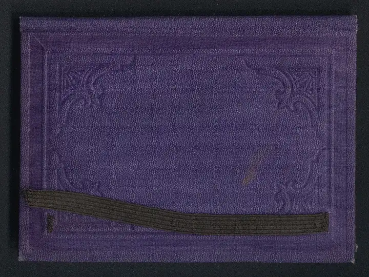 Fotoalbum mit 10 Fotografien Leporello Bondeliv i Norge, Tracht Norwegen, Bauernleben, Hochzeit, Handkoloriert 6