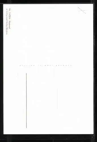 Künstler-AK Hummel: Neujahr, Kind mit Laterne, Vogel und Blumen