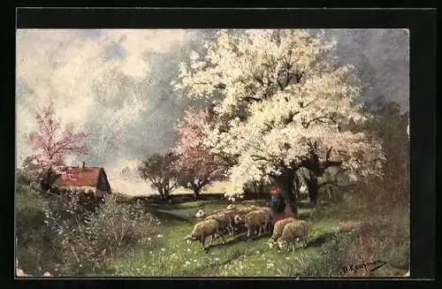 Künstler-AK Hans Kaufmann: Ansicht einer Schafherde mit Hirten im Frühling