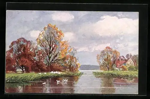 Künstler-AK Theo Stroefer Serie Nr. 349: Uferlandschaft mit Enten