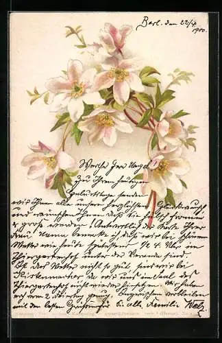 Künstler-AK Theo Stroefer Serie 1 Nr. 2: Zweig mit Blüten