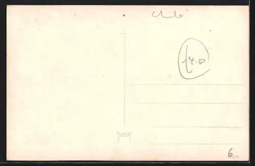 AK Valparaiso, Schiffe im Hafen