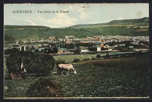 AK Diekirch, Vue prise de la Hardt