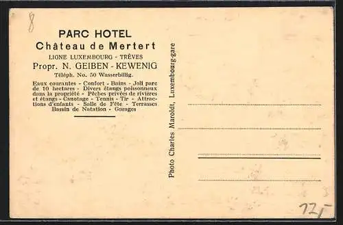 AK Mertert-s-Moselle, Parc Hotel, Château de Mertert-s-Moselle