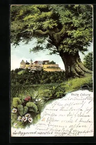 AK Blick zur Veste Coburg