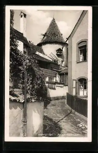 AK Amberg /Opf., Partie an der Stadtmauer