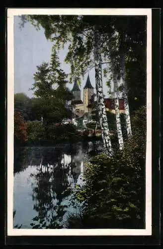 AK Rochlitz, Blick auf das Schloss