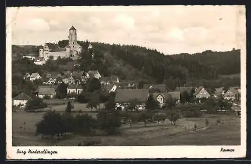 AK Niederalfingen, Totalansicht mit Burg