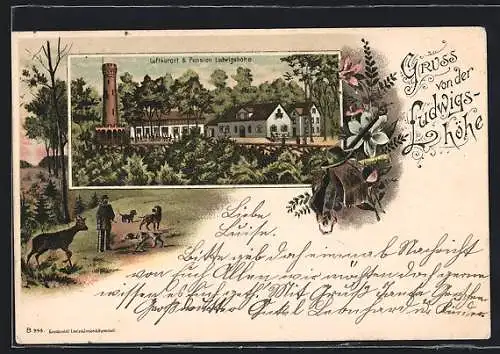 Lithographie Darmstadt, Gasthaus & Pension Ludwigshöhe