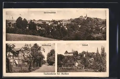 AK Taubenheim bei Meissen, Gesamtansicht, Schloss, Strassenzug