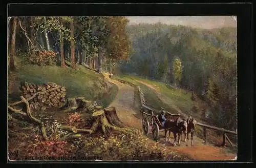 AK Friedrichroda, Ungeheurer Grund mit Kutsche