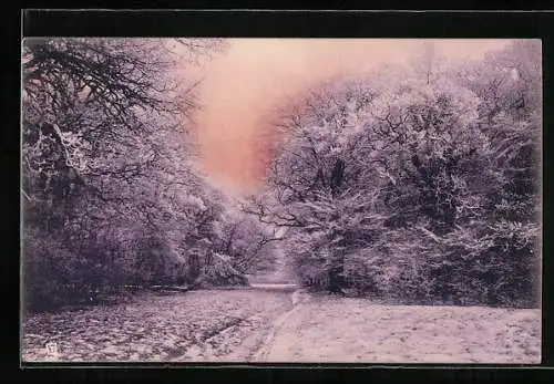 Künstler-AK Raphael Tuck & Sons Nr. 907: Winterlandschaft mit Bäumen