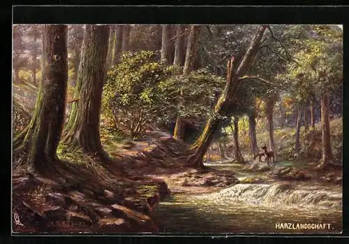 Künstler-AK Raphael Tuck & Sons Nr. 205 B: Harzlandschaft im Ilsethal