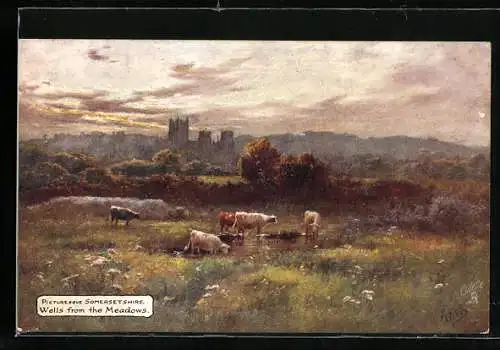 Künstler-AK Raphael Tuck & Sons Nr. 7795: Somersetshire, Wells from the Meadows
