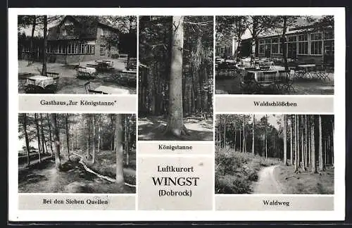 AK Wingst / Dobrock, Gasthaus Zur Königstanne, Waldschlösschen, Waldweg