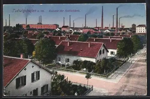 AK Ludwigshafen a. Rh., Kolonie der Anilinfabrik