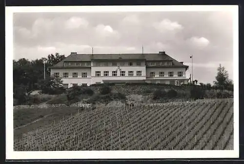 AK Rüdesheim am Rhein, Blick auf die Jugendherberge